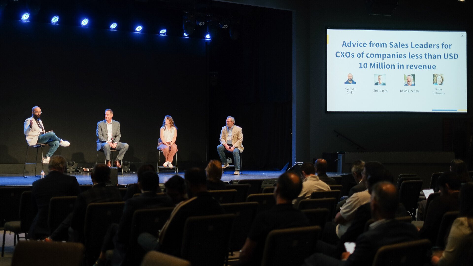 VixulCon 2025 panel discussion